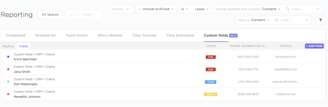 custom fields reporting